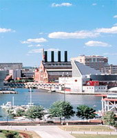 Baltimore Pic